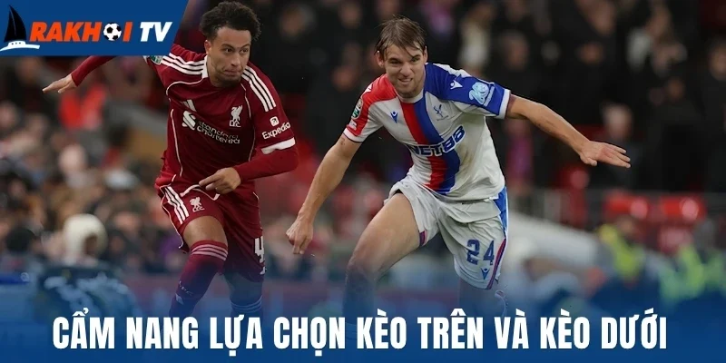 Kèo Trên Kèo Dưới - Hình Thức Cược Và Bí Quyết Chốt Kèo Thơm 3 Cẩm nang lựa chọn kèo trên và kèo dưới