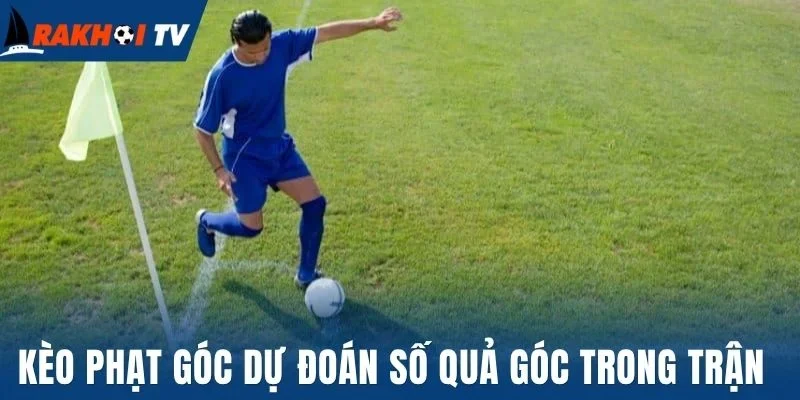 Kèo phạt góc dự đoán số quả góc trong trận