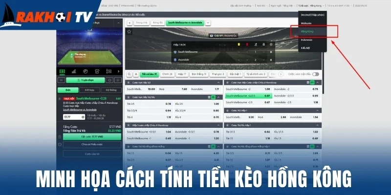 Tỷ Lệ Kèo Hồng Kông - Cách Tính Tiền Và Mẹo Cược Thắng Lớn 2 Minh họa cách tính tiền kèo Hồng Kông