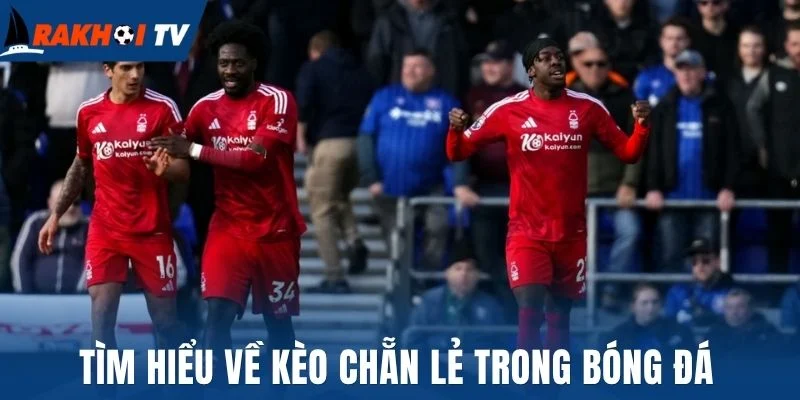 Kèo Chẵn Lẻ - Cách Đọc Kèo Trong Bóng Đá Chuẩn Chuyên Gia 1 Tìm hiểu về kèo chẵn lẻ trong bóng đá